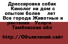 Дрессировка собак (Кинолог на дом с опытом более 10 лет) - Все города Животные и растения » Услуги   . Тамбовская обл.